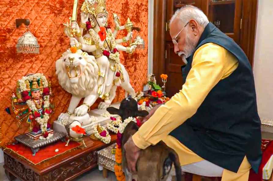 PM Modi with calf born at PM's residence