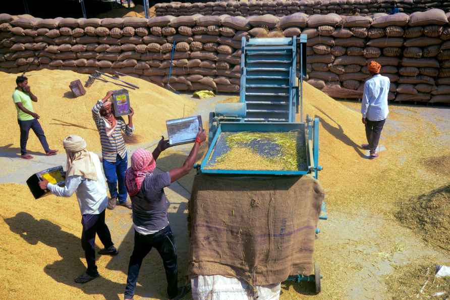 Paddy grain at a market