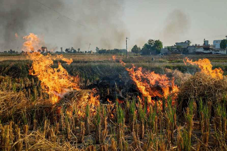 Paddy stubble burning in Amritsar