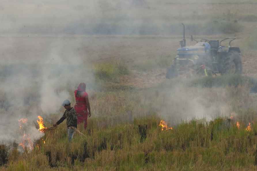 Agriculture: Stubble burning in Palwal