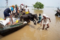 Bihar floods: 1.685 million people affected across 11 districts