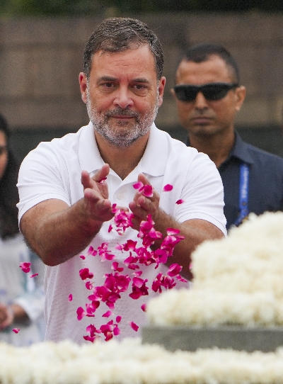 Resolve to build India of your dreams will continue to guide me: Rahul Gandhi on Rajiv Gandhi's birth anniversary